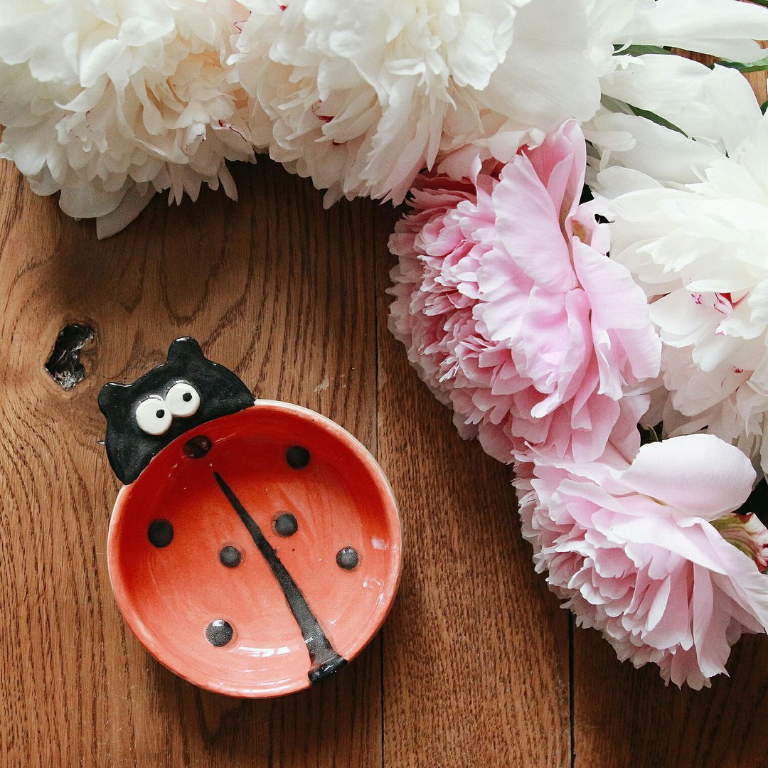 Мисочка Божья Коровка KIDS (7+) фото 1